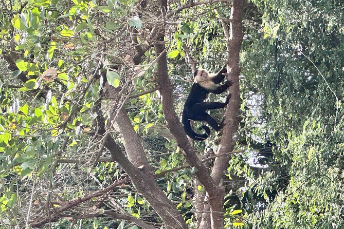 Granada colonial city & Isletas boat tour - Practical Details and What You Can Expect