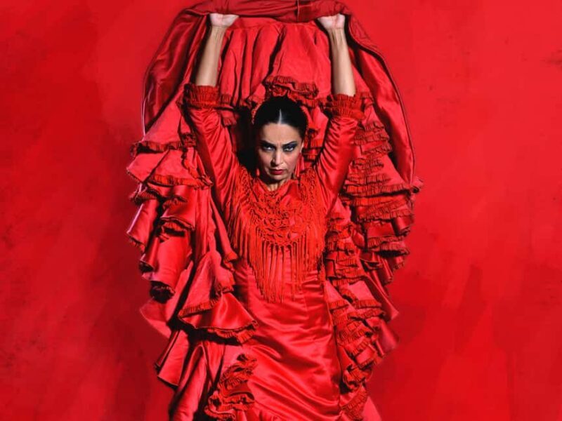 Granada: Flamenco Dance Class for Beginners at the Flamenco Theater - A Closer Look at the Flamenco Class Experience