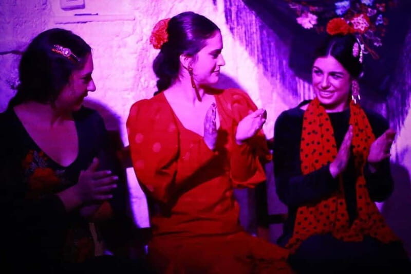 Granada: Flamenco Show Los Parrones in the Sacromonte Caves - The Sum Up: Who Is This Tour For?