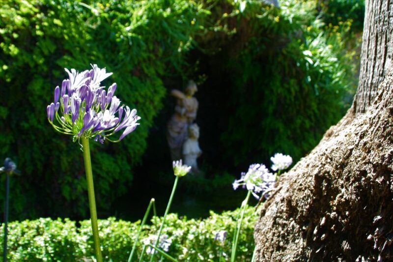 Granada: Gardens of Carmenes Guided Tour - Final Thoughts: Who Should Consider This Tour?