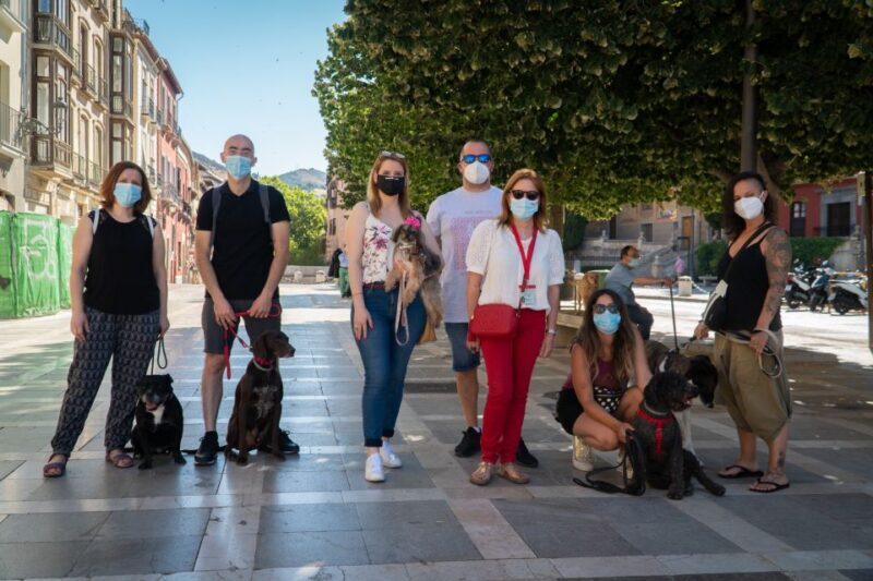 Granada: Guided Albaicín Visit with Pets - An In-Depth Look at the Guided Albaicín Tour with Pets