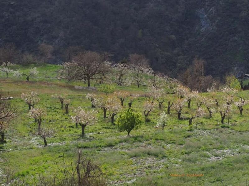 Granada: Guided Hiking Tour - The Sum Up