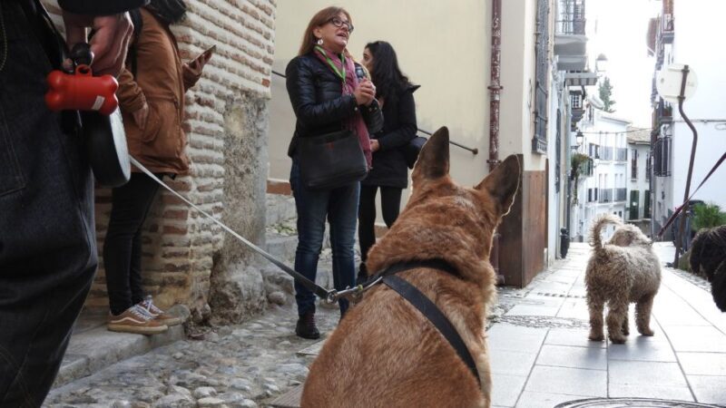 Granada: Guided Realejo Tour with Pets - An Invitation to Explore Granada’s Realejo Neighborhood