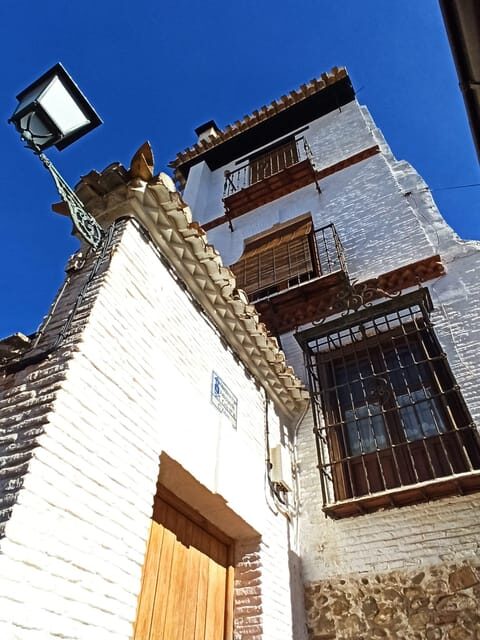 Granada: Guided Realejo Tour with Pets - What’s Included and Practical Tips