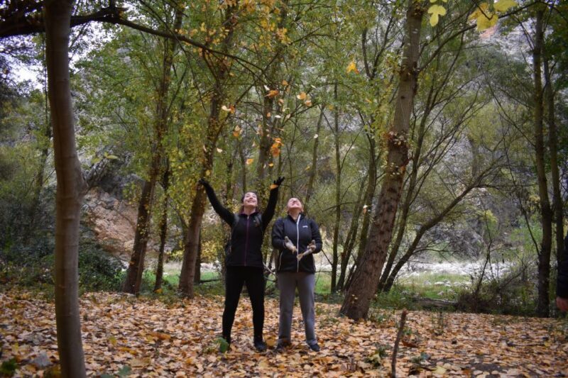 Granada: Hiking along the Gollizno route - Who Should Consider This Tour?