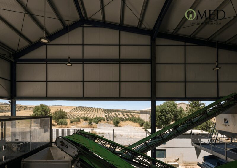 Granada in EVOO: Become a real olive harvester for a day - Final note