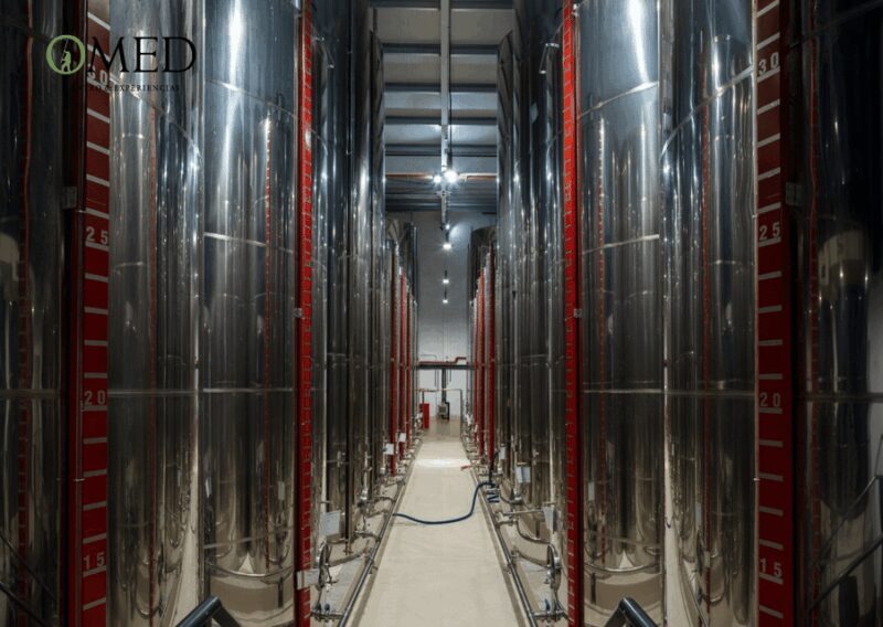 Granada in EVOO: Guided tour and unique sensorial tasting - Final Thoughts