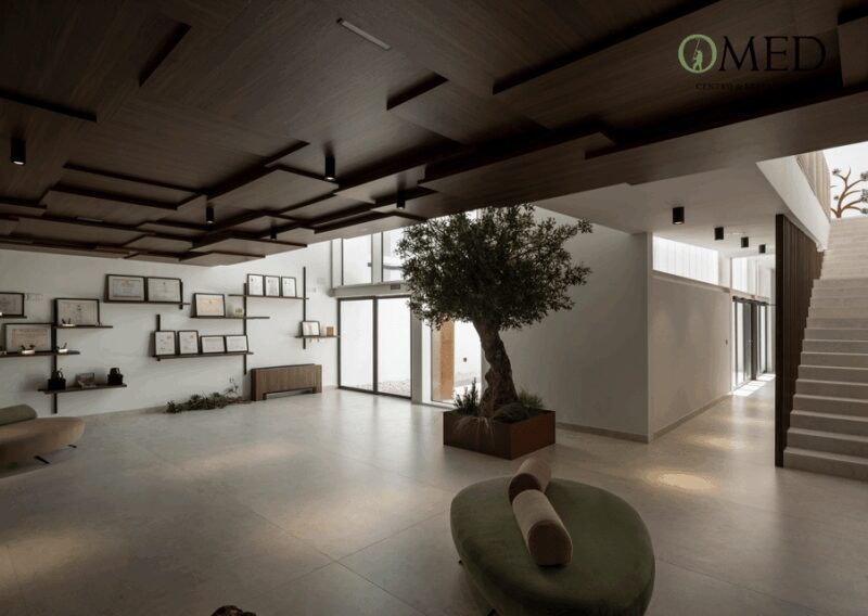 Granada in EVOO: Olive grove guided tour and sensory tasting - Who Will Appreciate This Tour?