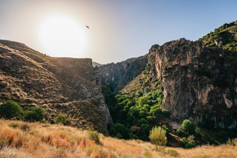 Granada: Los Cahorros de Monachil Canyon Hiking Tour - Exploring the Los Cahorros de Monachil Canyon Hiking Tour