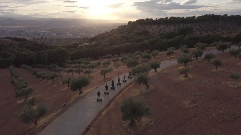 Granada: Mountains and Landscapes Off-Road Segway Tour - Who Should Consider This Tour?