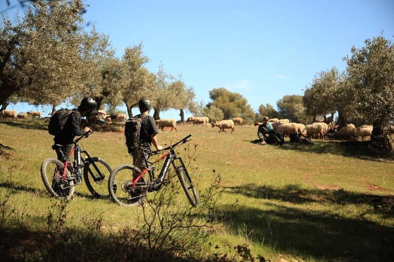 Granada: Nature, Wildlife and Authentic Villages E-bike Tour - Granada: Nature, Wildlife and Authentic Villages E-bike Tour — A Natural Escape from the City