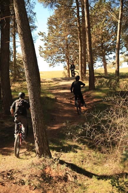 Granada: Nature, Wildlife and Authentic Villages E-bike Tour - Who Should Consider This Tour?