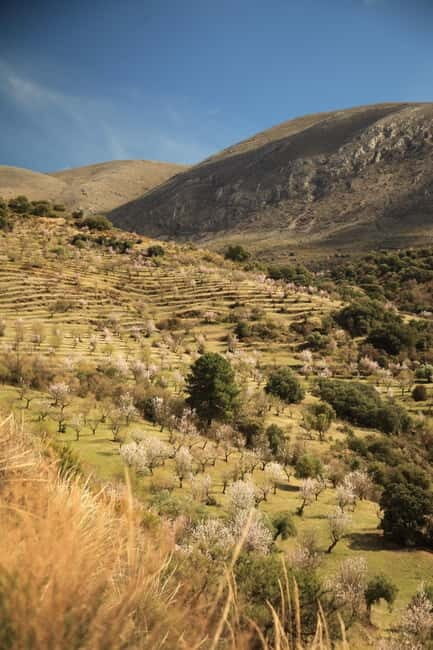 Granada: Nature, Wildlife and Authentic Villages E-bike Tour - The Sum Up