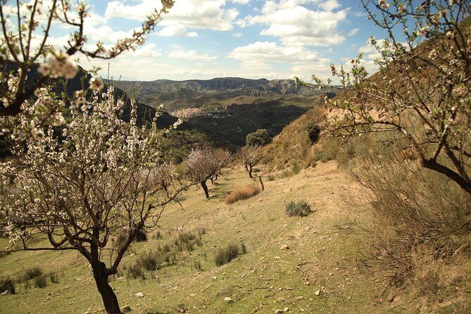 Granada: Nature, Wildlife and Authentic Villages E-bike Tour - Who Will Appreciate This Experience?