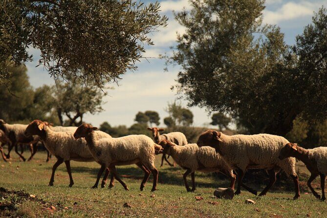 Granada: Nature, Wildlife and Authentic Villages E-bike Tour - Frequently Asked Questions