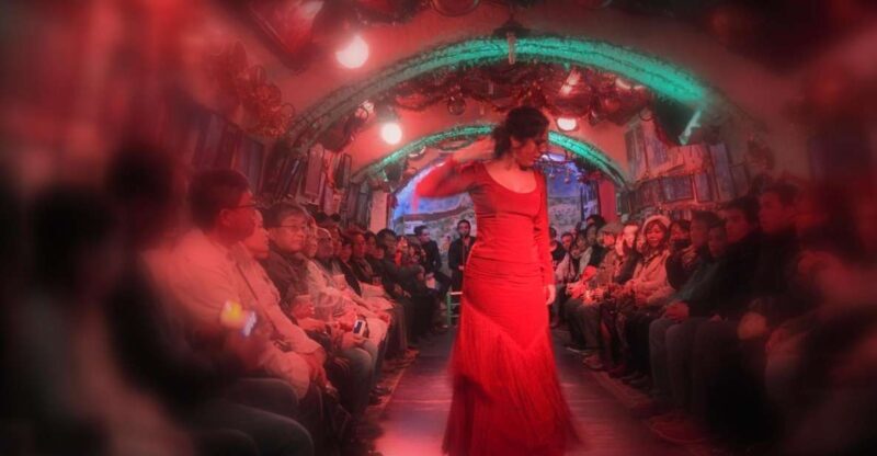 Granada: Sacromonte Caves Flamenco Show - A Deep Dive into the Sacromonte Flamenco Experience