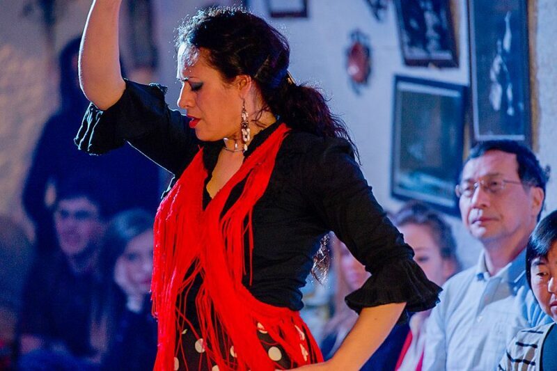 Granada: Sacromonte Caves Flamenco Show with Dinner - Granada: Sacromonte Caves Flamenco Show with Dinner – A Deep Dive