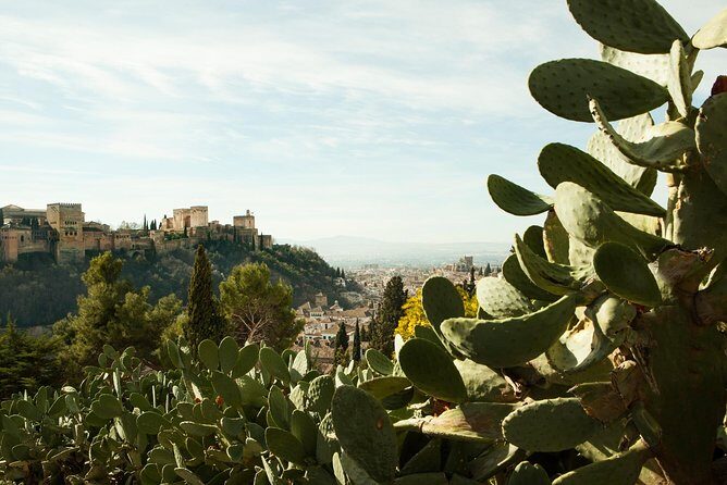 Granada: Sacromonte Private Tour - Exploring the Heart of Sacromonte: What to Expect