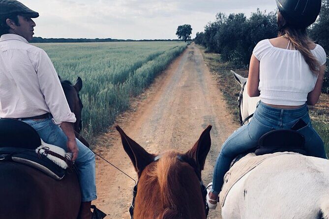 Granada & Sierra Nevada Horse Riding Tour - In-Depth Review of the Granada & Sierra Nevada Horse Riding Tour