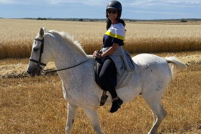 Granada & Sierra Nevada Horse Riding Tour - Final Thoughts