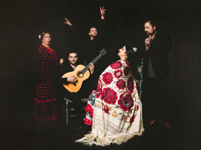 Granada: Traditional Flamenco Show at Tablao Casa Ana - What Makes This Experience Stand Out?