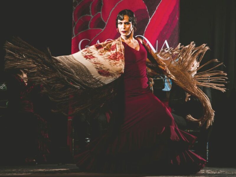 Granada: Traditional Flamenco Show at Tablao Casa Ana - Who Should Attend?