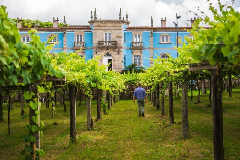 Granbazán Winery: Guided Tour and Wine Tasting - An In-Depth Look at the Granbazán Winery Tour