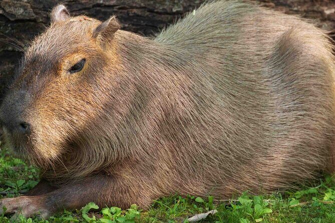 Granby Zoo 1 Day - A Closer Look at the Granby Zoo 1-Day Tour