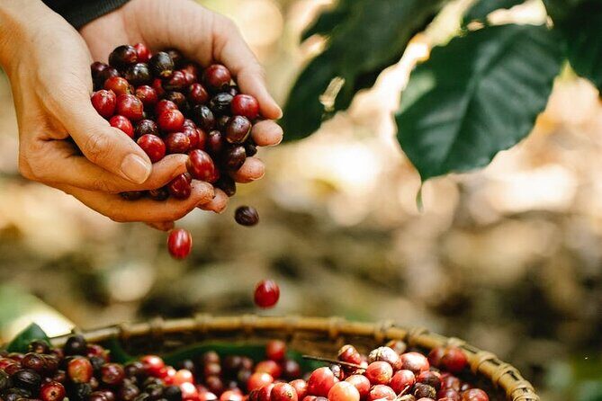 Granby Zoo 1 Day - FAQ