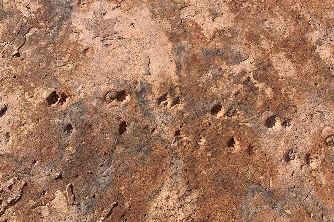 Grand Canyon Biblical Creation Hiking Tour  South Kaibab Trail - Authentic Experiences and Authentic Guides