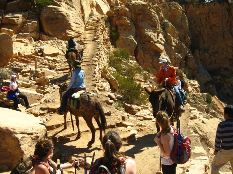 Grand Canyon Full-Day Hike from Sedona or Flagstaff - A Detailed Look at the Grand Canyon Full-Day Hike