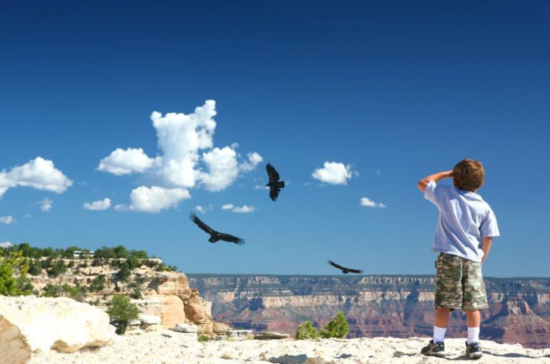 Grand Canyon: Morning Off-Road Safari with Skip the Gate - Key Points