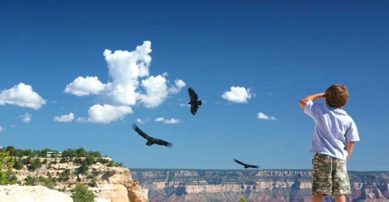 Grand Canyon: Morning Off-Road Safari with Skip the Gate - FAQs