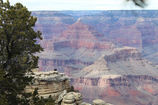 Grand Canyon National Park South Rim Bus Tour from Kingman - A Detailed Look at the Tour Experience