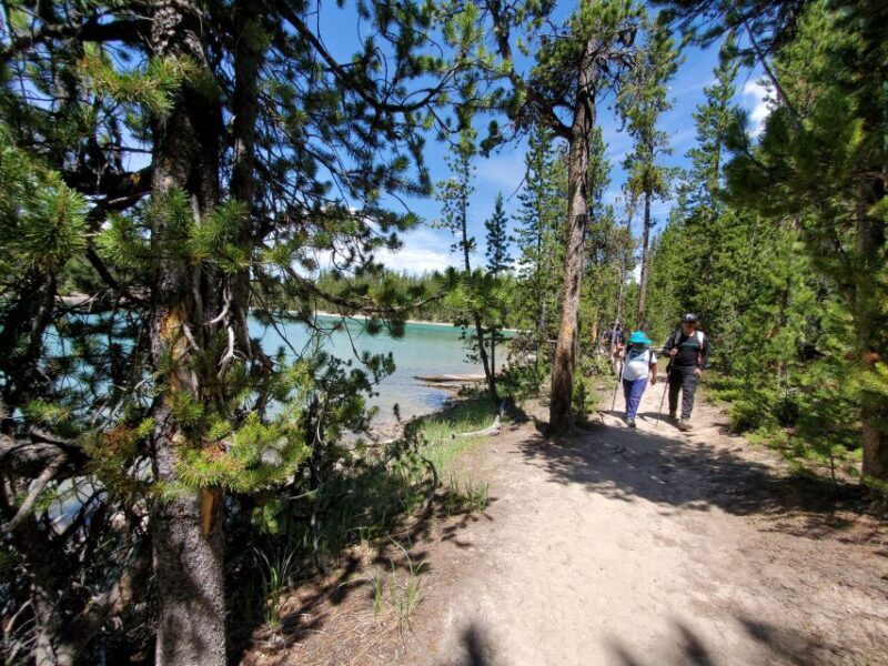Grand Canyon of the Yellowstone: Loop Hike with Lunch - How to Prepare for Your Yellowstone Hike