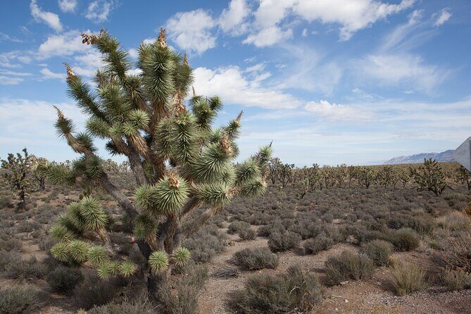 Grand Canyon West Tour in Spanish - Key Points