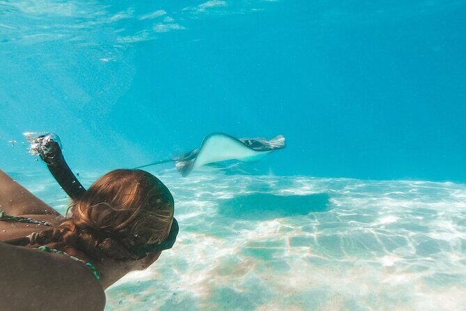 Grand Cayman 3-Stop Snorkel Adventure: Stingray City & Reefs Tour - Why This Tour Stands Out