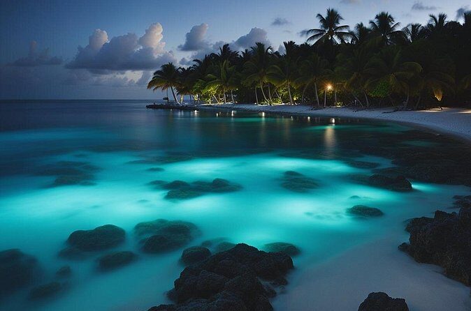 Grand Cayman Bioluminescence Experience - FAQ