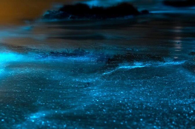 Grand Cayman Bioluminescent Bay Adventure - Who Should Consider This Tour?