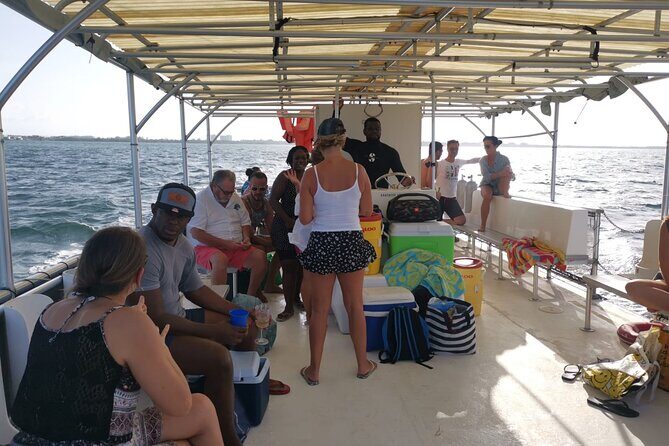 Grand Cayman - Bioluminescent Bay Tour - Discovering Grand Cayman’s Natural Treasures: An In-Depth Review