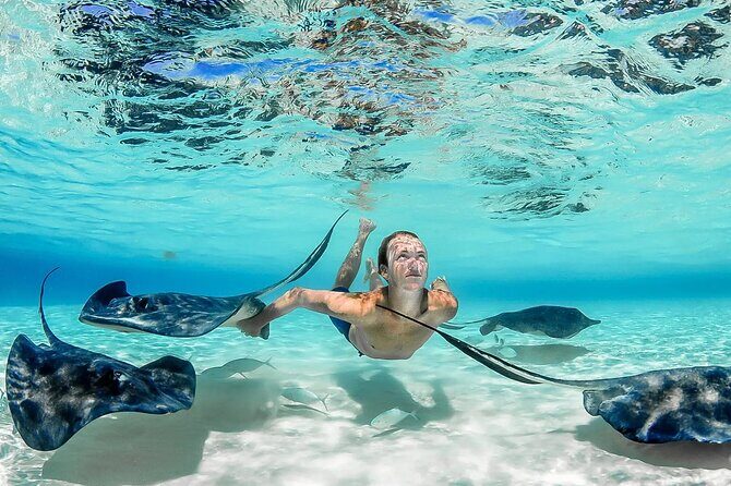 Grand Cayman Stingray City Sandbar Adventure - Key Points