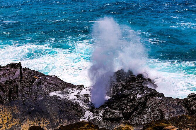 Grand Circle Island and Haleiwa 9 Hour Tour - FAQs