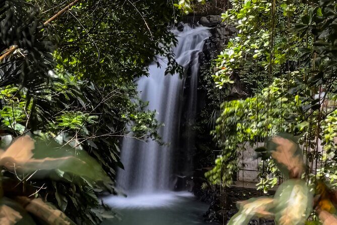 Grand Etang Lake, Annandale WaterFalls & Fort Frederick Grenada - Who Should Consider This Tour?