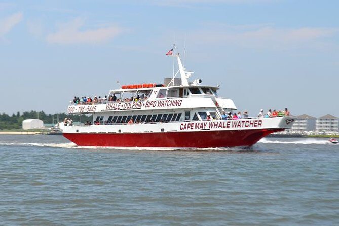 Grand Lighthouse Tour from Cape May - Experience Breakdown: What to Expect on the Grand Lighthouse Tour