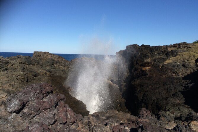 Grand Pacific Drive and Southern Highlands Tour - Key Points