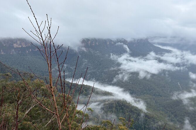 Grand Pacific Drive and Southern Highlands Tour - The Sum Up