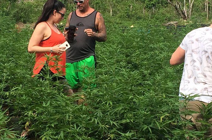 Grand Palladium from MBJ Airport - Authentic Feedback and Real-World Experience