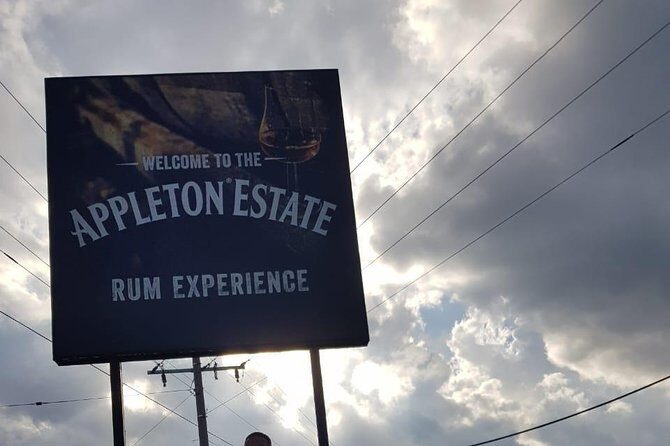 Grand Palladium from MBJ Airport - Who Will Love This Service?