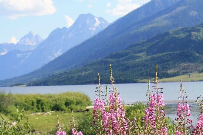 Grand Teton Full Day Small Group Tour - Who Is This Tour Best For?