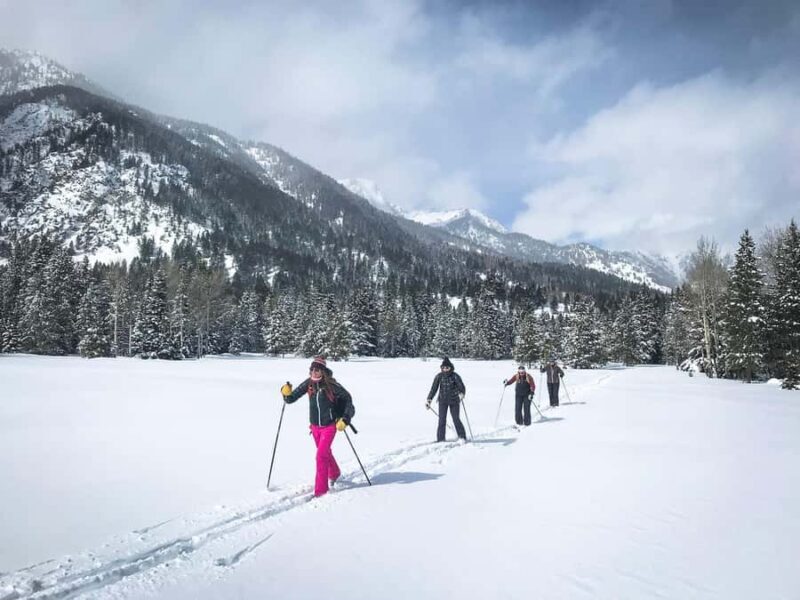 Grand Teton National Park: 4-Hour Beginner Cross-Country Ski - The Value of a Guided Cross-Country Ski Tour